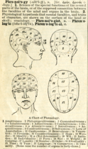 texte en anglais et dessins en noir et blanc des différentes zones d'un cerveau humain.