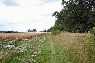 <span class="mw-page-title-main">Black Ditches, Cavenham</span>