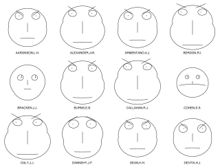 <span class="mw-page-title-main">Chernoff face</span> Human-face shaped display of data