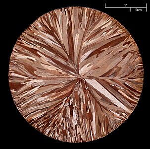 Copper, 29Cu