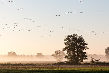 Dülmen, North Rhine-Westphalia, Germany