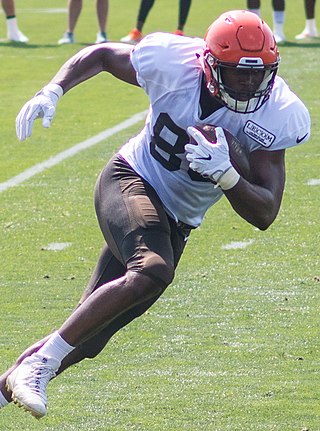 <span class="mw-page-title-main">Darren Fells</span> American football player (born 1986)