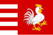 Vlag