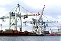 Container cranes at harbor Hamburg, Germany