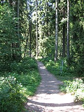 Trail in the Kruununpuisto Nature Park in Imatra, Finland Kruununpuisto Imatra.JPG