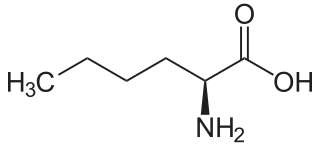 <span class="mw-page-title-main">Norleucine</span> Chemical compound