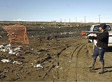 A net gun fired by a USDA researcher to safely capture wild birds to test for Avian Influenza Net gun, USDA.jpg