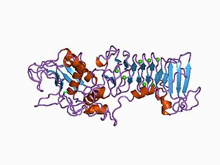 <span class="mw-page-title-main">Metalloproteinase</span> Type of enzyme