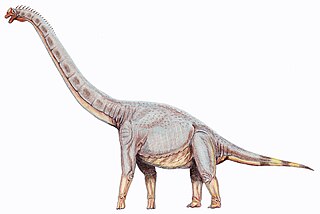 <i>Sonorasaurus</i> Extinct genus of dinosaurs