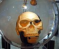 Afrikaans: Replika van die "Piltdown man", 'n vals skedel wat in 1912 in Engeland "ontdek" is. English: a famous paleontological hoax concerning the finding of the remains of a previously unknown early human.