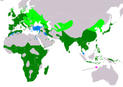 Distribución del zampullín común.