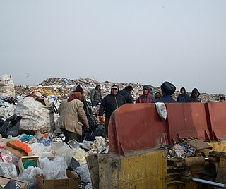 <span class="mw-page-title-main">Environmental racism in Central and Eastern Europe</span>