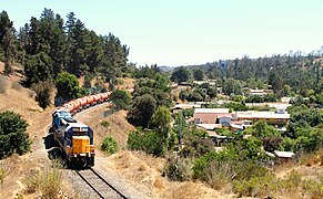 El tren del ácido.jpg