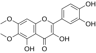 <span class="mw-page-title-main">Eupatolitin</span> Chemical compound