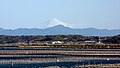 Le mont Fuji et le lac Hamana.