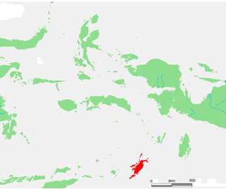 <span class="mw-page-title-main">Tanimbar Islands</span> Group of islands in Maluku, Indonesia