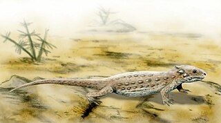 <i>Leptopleuron</i> Extinct genus of reptiles