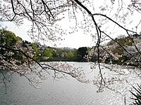 神奈川県立三ツ池公園（梶山・上末吉）