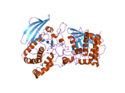 PDB 2pi7 EBI.png