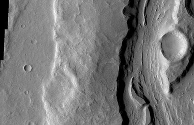 PadusVallis Close-up.JPG