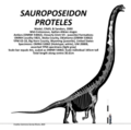 Sauroposeidon proteles