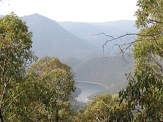 <span class="mw-page-title-main">Talbingo Dam</span> Dam in Snowy Mountains, New South Wales