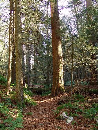 <span class="mw-page-title-main">Snyder-Middleswarth Natural Area</span> Natural area in Pennsylvania