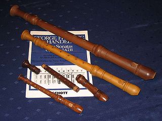 <span class="mw-page-title-main">Recorder (musical instrument)</span> Woodwind instrument