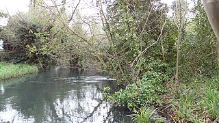 Wilderness Island island and nature reserve in Carshalton, South London, UK