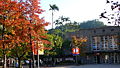 Autumn view of campus