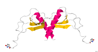 <span class="mw-page-title-main">CCL8</span> Mammalian protein found in Homo sapiens