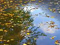 Reflections on the road. Blackstone River Bikeway in Worcester, MA. 14:18, 20 October 2007