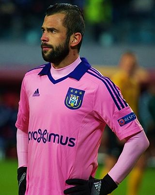 <span class="mw-page-title-main">Steven Defour</span> Belgian footballer