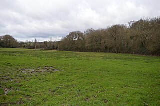 <span class="mw-page-title-main">Frieth Meadows</span> Site of Special Scientific Interest in Frieth, Buckinghamshire, England