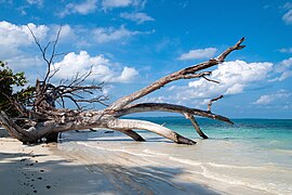 Havelock Island, Sandy lagoon, Andaman Islands