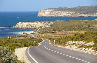 <span class="mw-page-title-main">Dhilba Guuranda–Innes National Park</span> Protected area in the Yorke Peninsula, South Australia