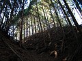 金山登山道として現存する古の鐘ケ坂峠