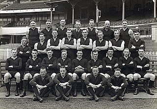 <span class="mw-page-title-main">1939 VFL season</span> 43rd season of the Victorian Football League (VFL)