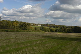 Sandleford Priory from the west, from the drive that connected the priory to the Andover road (A343), as seen between Dirty Ground Copse and Gorse Covert.