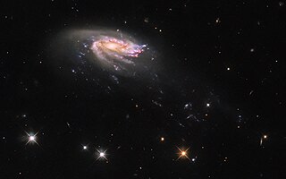 <span class="mw-page-title-main">PGC 1228197</span> Galaxy located in the constellation Aquarius