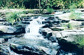 West Virginia Jungle - panoramio.jpg