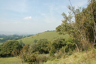 <span class="mw-page-title-main">Wye and Crundale Downs</span>