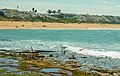 *Kandidimi Photo of Bouznika beach including beach houses, sand, vacationers, sea, sea rocks, seagulls, palm trees and waves in the same frame. --User:Mounir Neddi 16:27, 17 September 2024 (UTC) * Diskutimi  Oppose Far away from QI, many issues. --Uoaei1 16:20, 17 September 2024 (UTC)