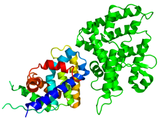 <span class="mw-page-title-main">DAX1</span> Protein-coding gene in humans