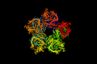 <span class="mw-page-title-main">Arginine decarboxylase</span>