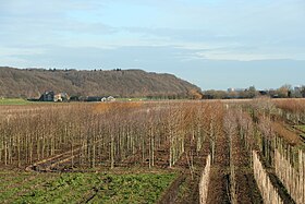 Grebbeberg vu du sud.