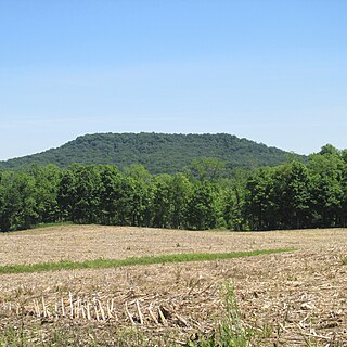 <span class="mw-page-title-main">Brushcreek Township, Ohio</span> Township in Ohio, United States