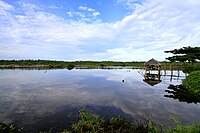 Malatgao Fish Pond.JPG