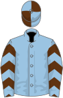 Light blue, brown chevrons on sleeves, quartered cap