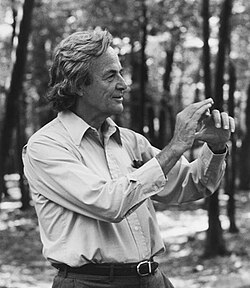 Feynman vid Fermilab i Batavia, Illinois, USA.